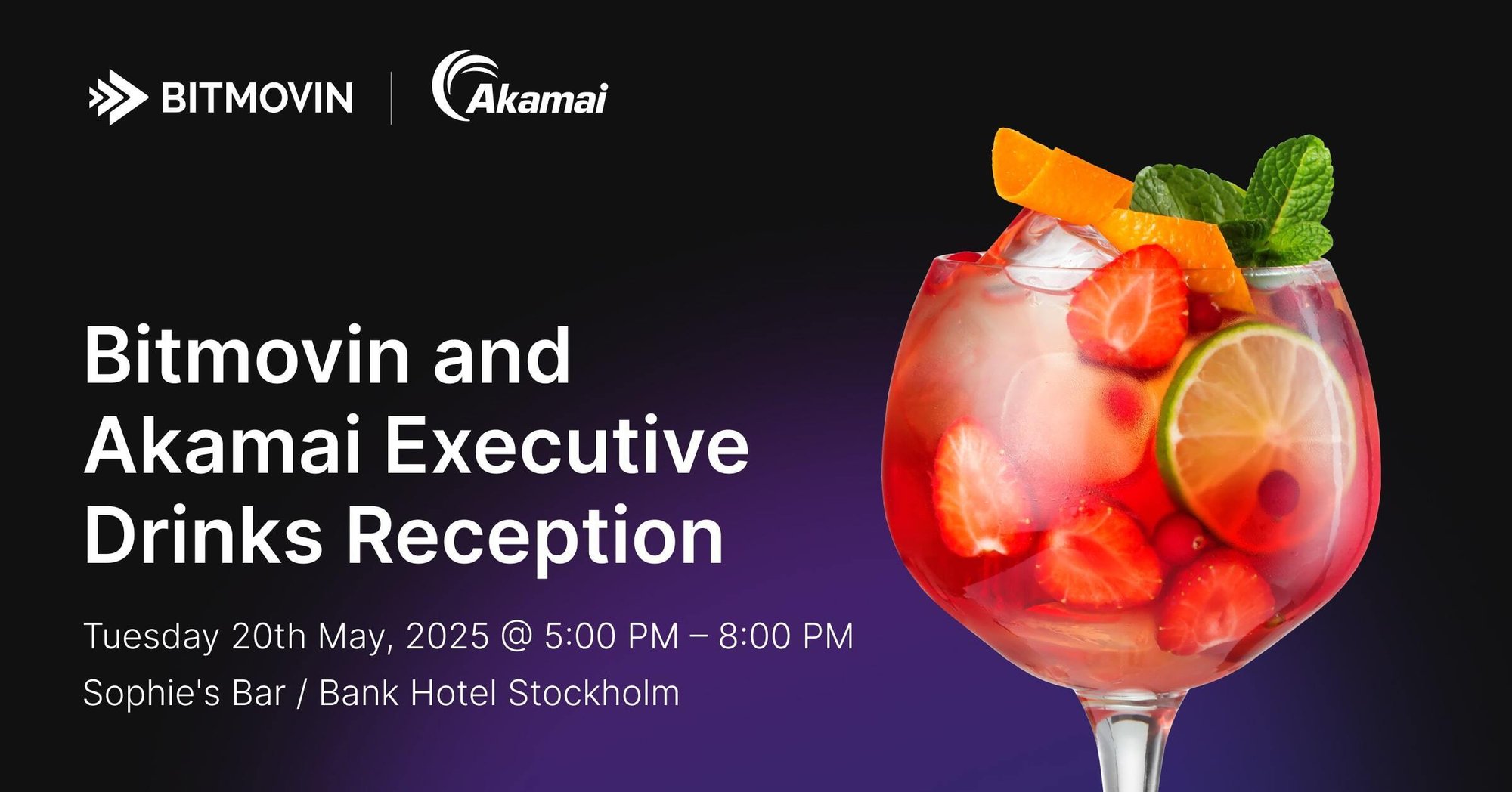 Bitmovin_2025_Akamai_Executive_Drinks_Reception_Stockholm-min